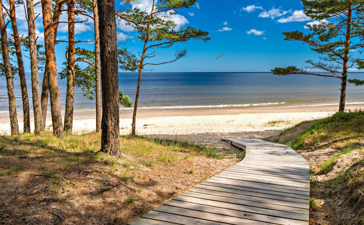Jūrmala, las sosnowy schodzący do białego, kwarcowego piasku Bałtyku, 25 km od Rygi.