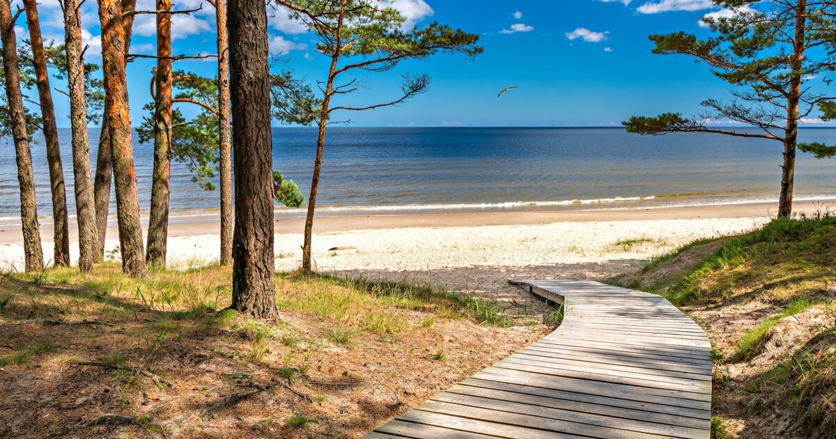 Jūrmala — pine forest meeting the white quartz sand of the Baltic Sea, 25 km from Riga.